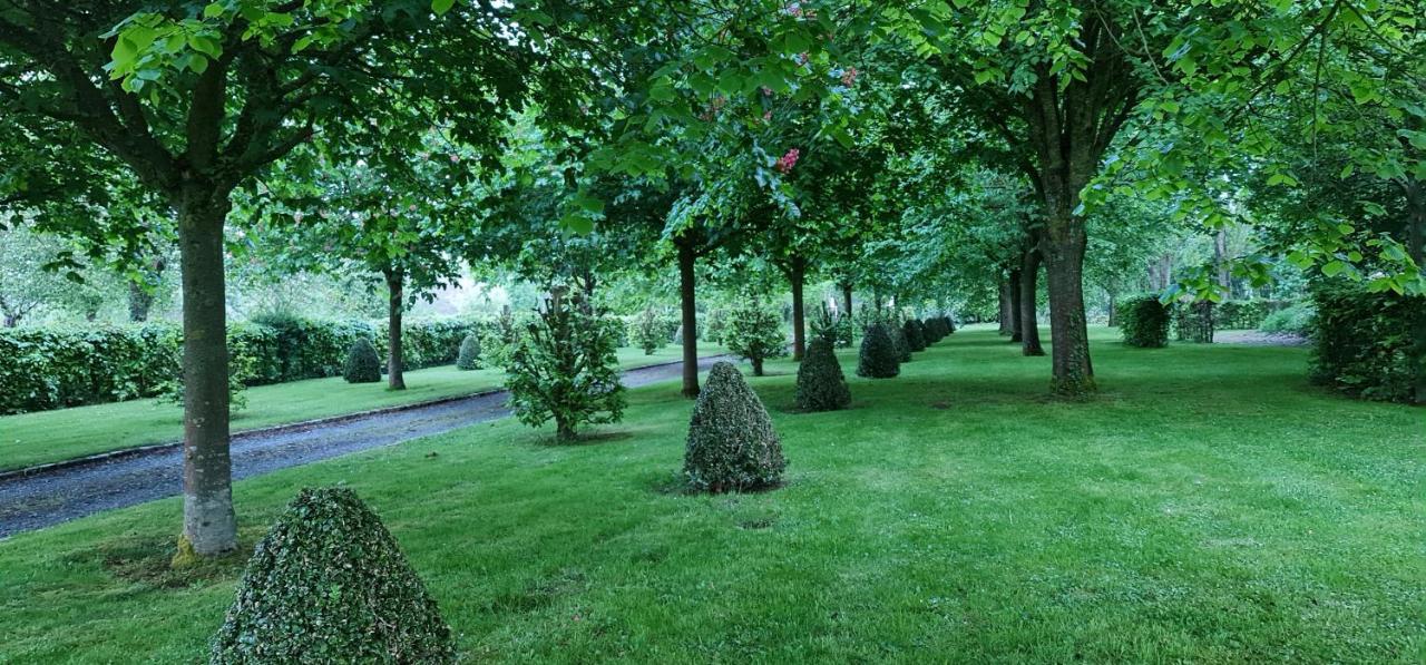 Hotel Le Manoir Des Marronniers Sully  Exterior foto